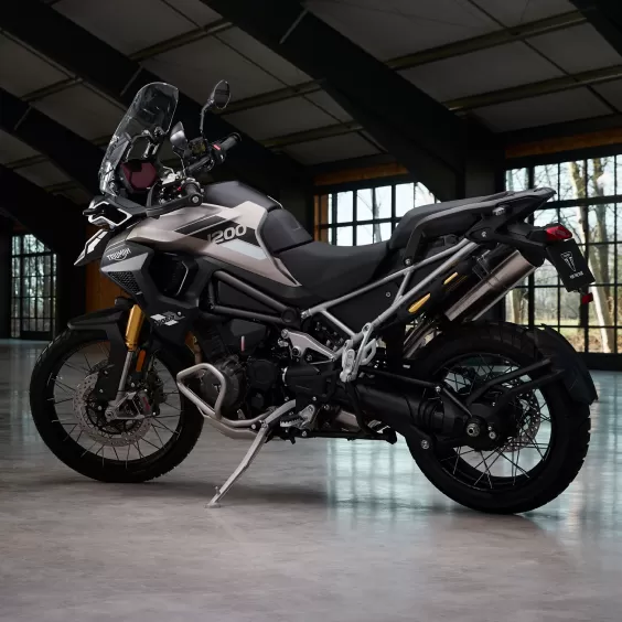 Triumph Tiger 1200 Rally Pro Back 2024