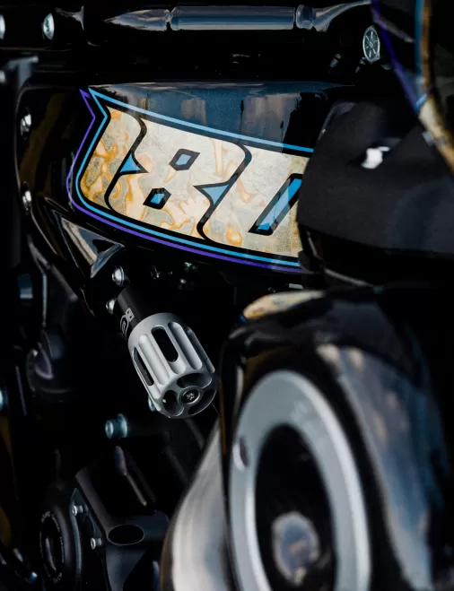 Custom Harley-Davidson Low Rider ST by LIND × Stockwell Design