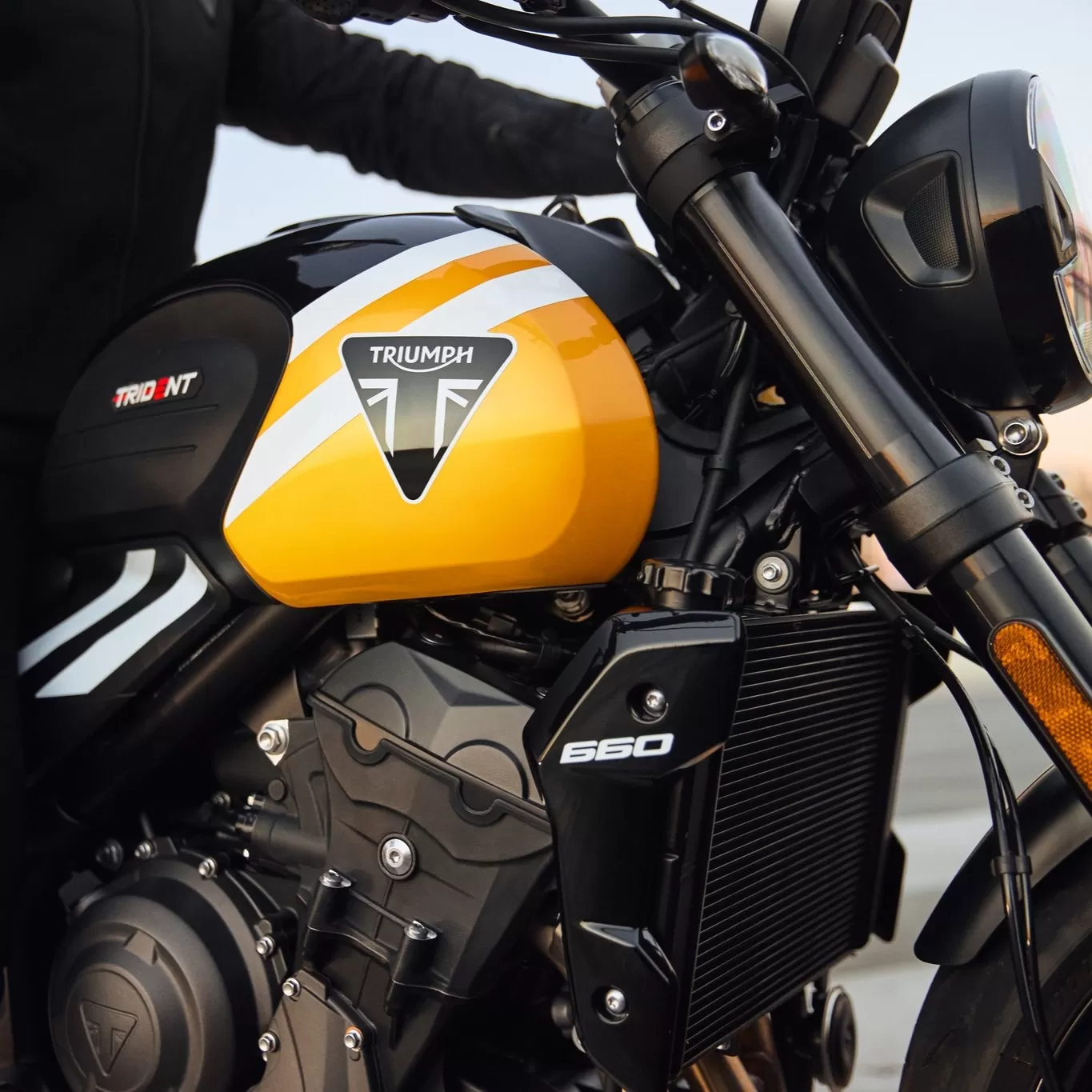 New 2025 Triumph Trident 660