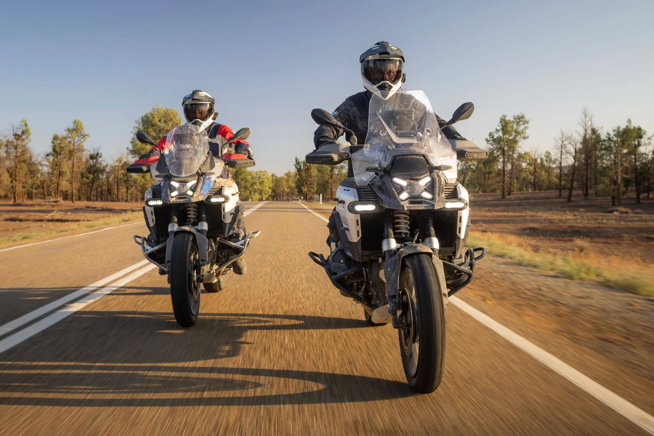 2025 Triumph Speed Twin 1200 Bikes