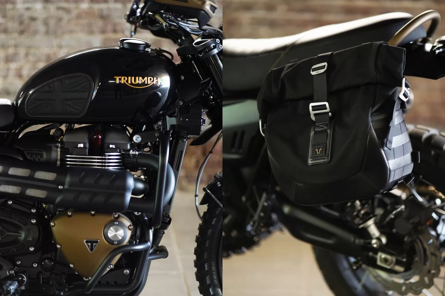 Custom Triumph 