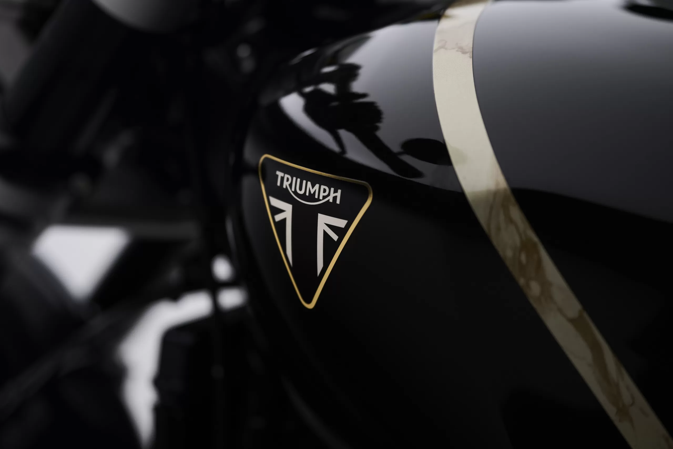 Triumph Speed Twin 1200 TFC Tank