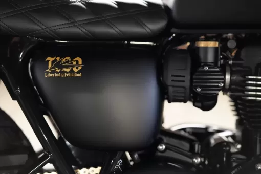 custom-triumph-bonneville-t120-side-panel-in-london-by-stockwell-design.JPG